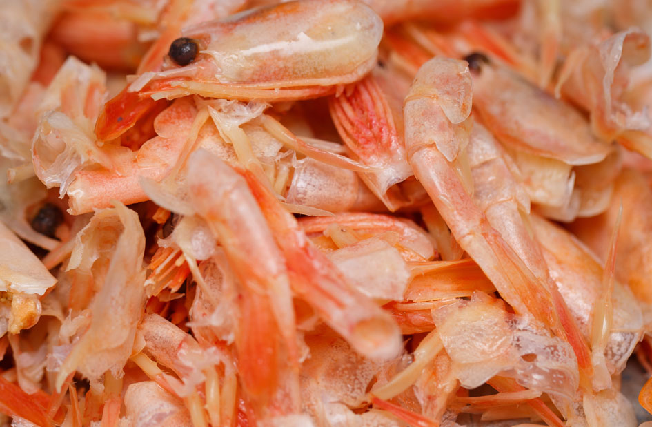 Shrimp shell waste, which contains 30-40% chitin